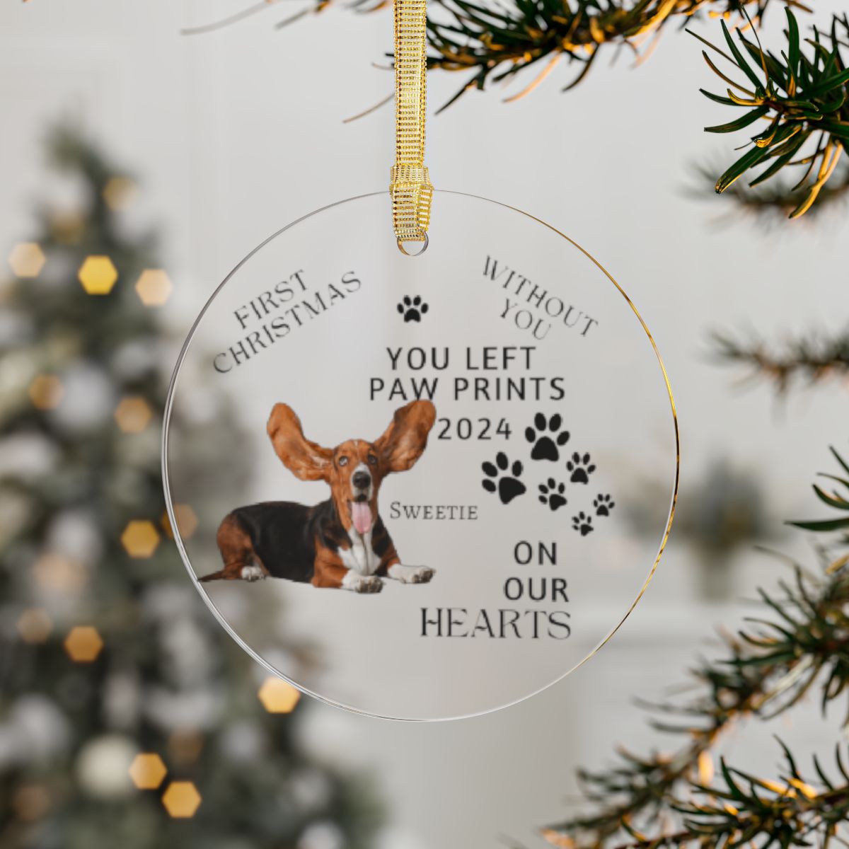 Acrylic Ornaments