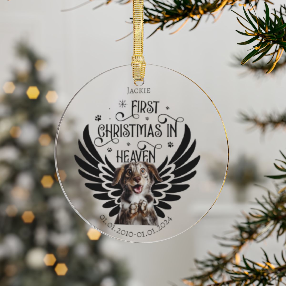 Acrylic Ornaments