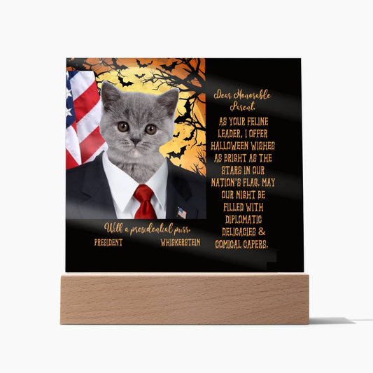 Personalized Halloween Acrylic Plaque for a Cat Mom with Funny and Sentimental message, a Dressed Up as a President Portrait with Customizable Cat Face. A Table Home Décor Lamp, Gift from Husband and or Children