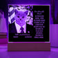 Personalized Halloween Acrylic Plaque for a Cat Mom with Funny and Sentimental message, a Dressed Up as a President Portrait with Customizable Cat Face. A Table Home Décor Lamp, Gift from Husband and or Children