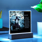 Personalized Halloween Acrylic Plaque for Mom, a Portrait of a Dressed Up in a Witch Costume Daughter with Both Funny and Sentimental Mirthful All Hallows' Eve Wishes . A  Table Home Décor Lamp, Gift from Husband and or Children