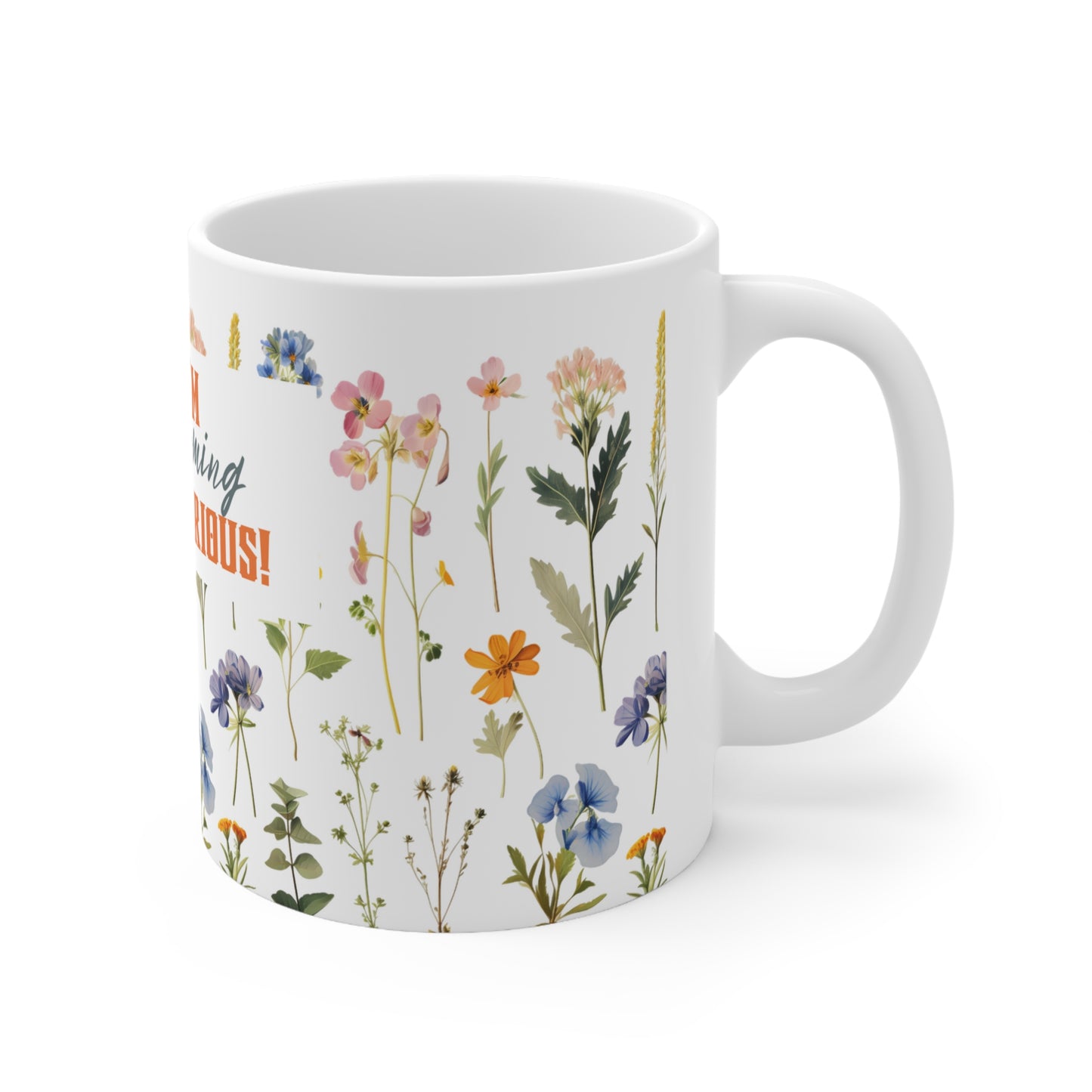 Ceramic Mug 11oz