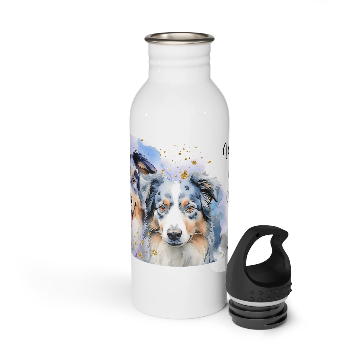 Stainless Steel Water Bottle