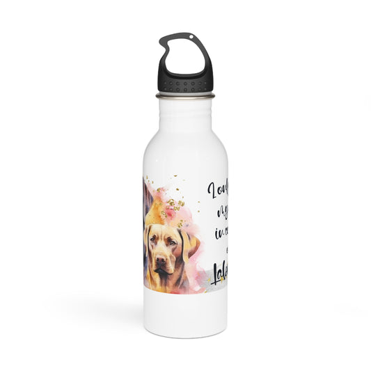 Stainless Steel Water Bottle