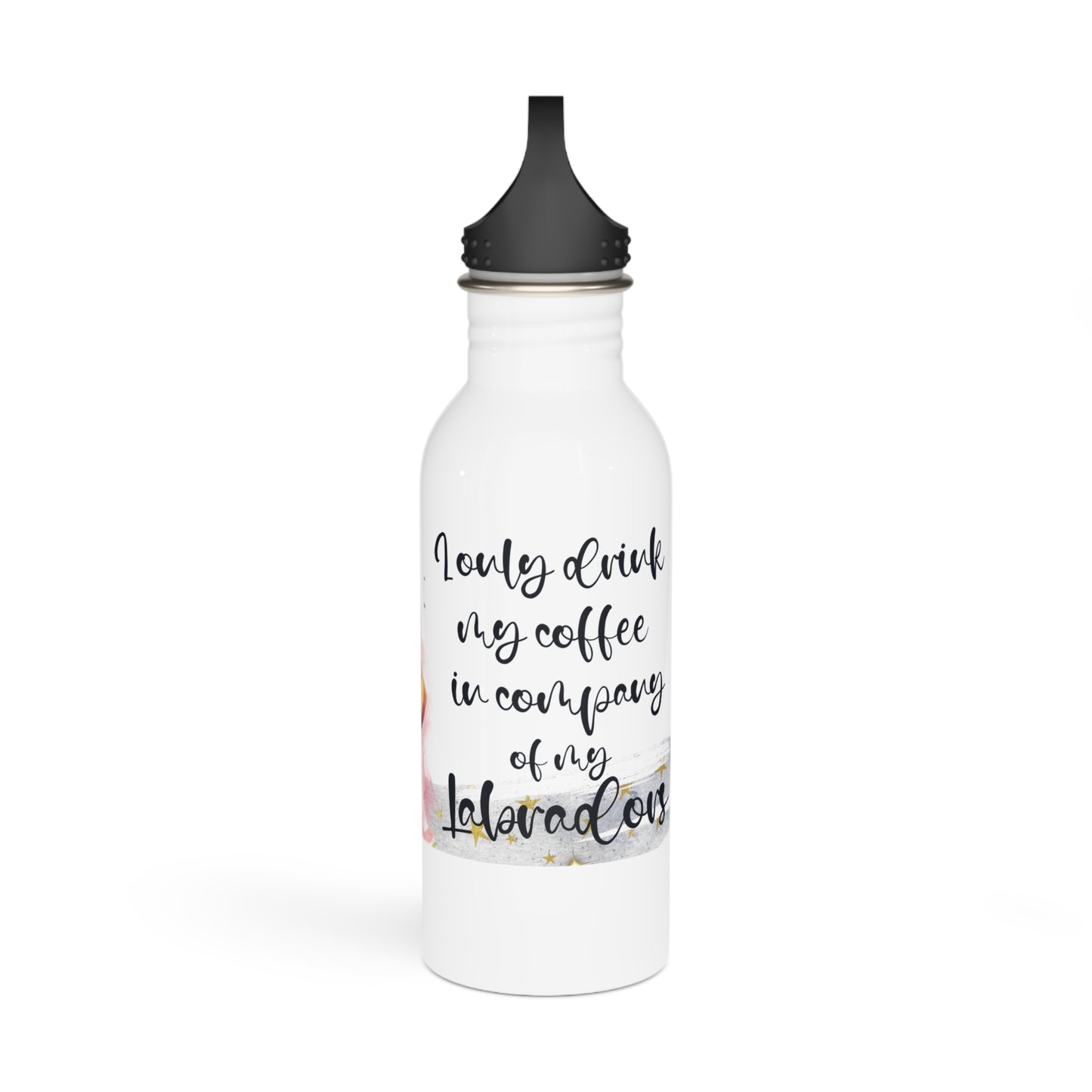 Stainless Steel Water Bottle