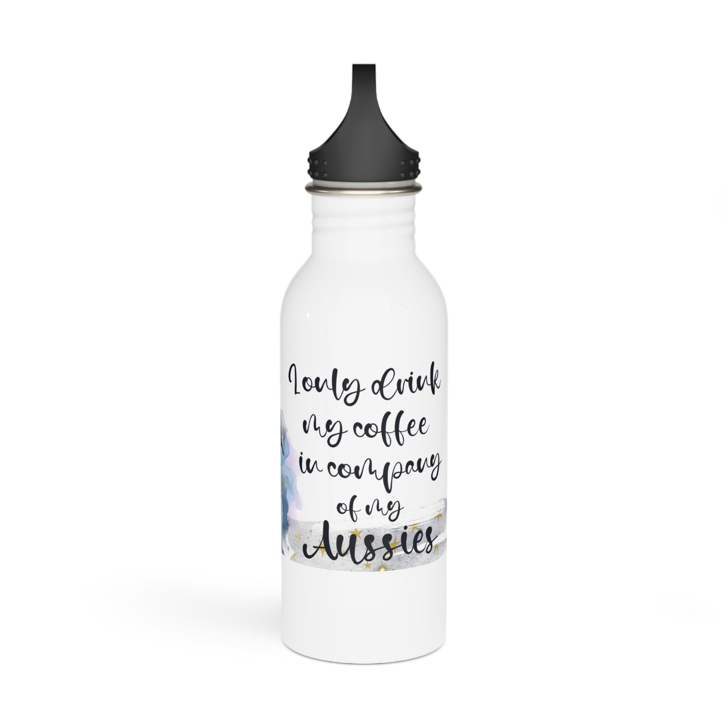 Stainless Steel Water Bottle